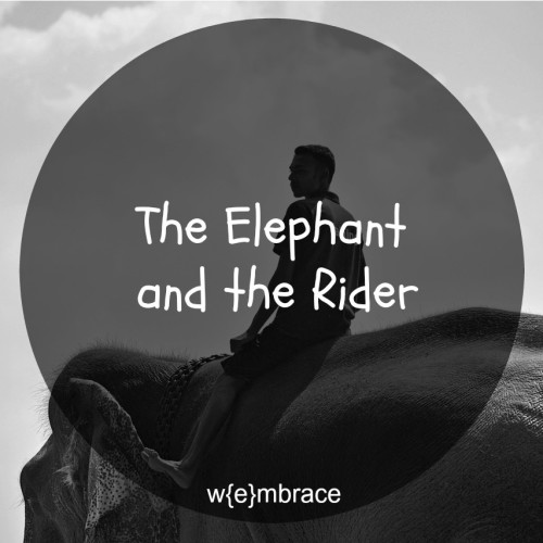 The elephant and the rider metaphor